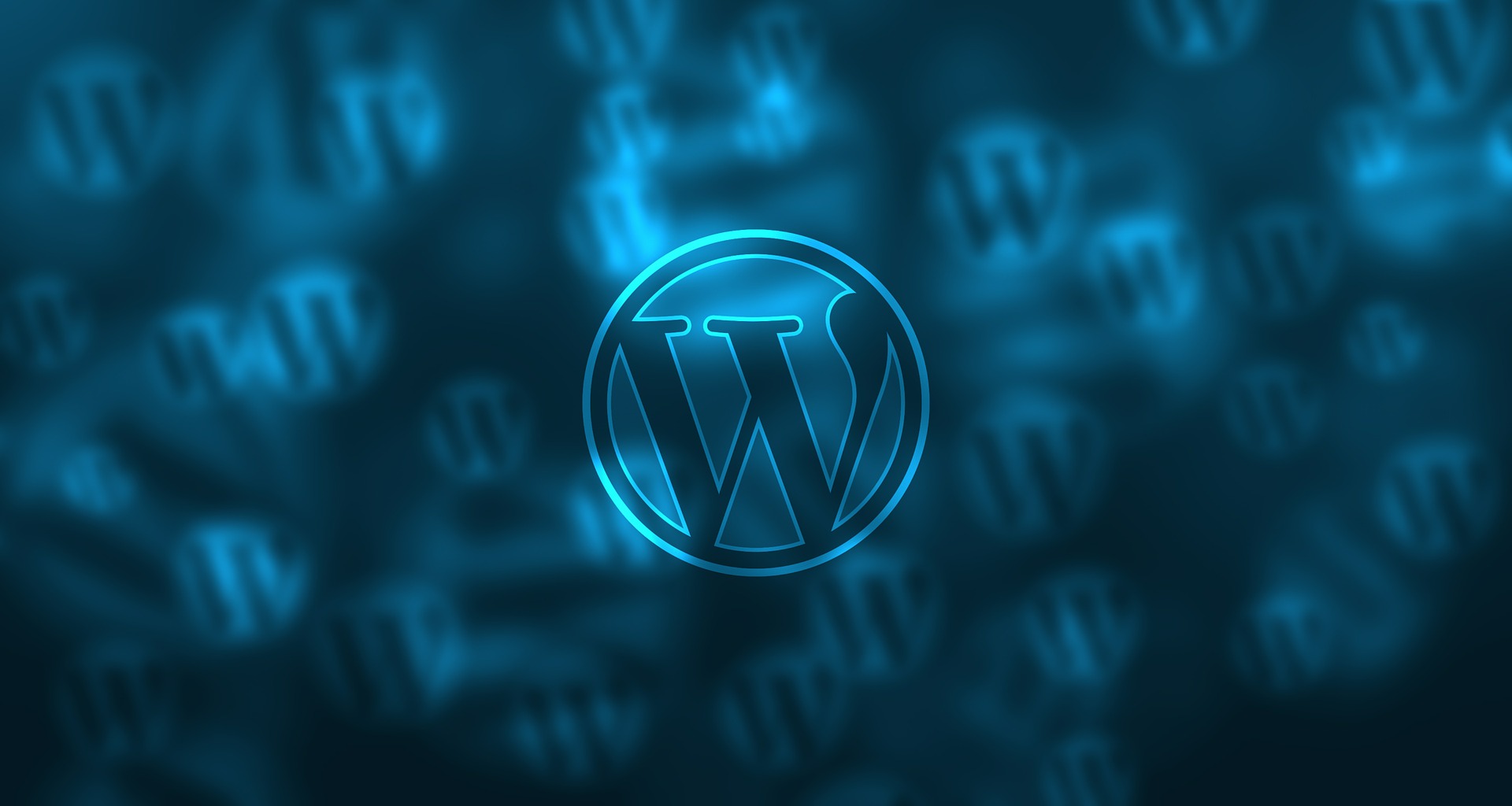 Jeden WordPress – wiele domen